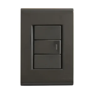 INTERRUPTOR 01 SIMPLES 2X4 GRAFITE TRAMONTINA LIZ